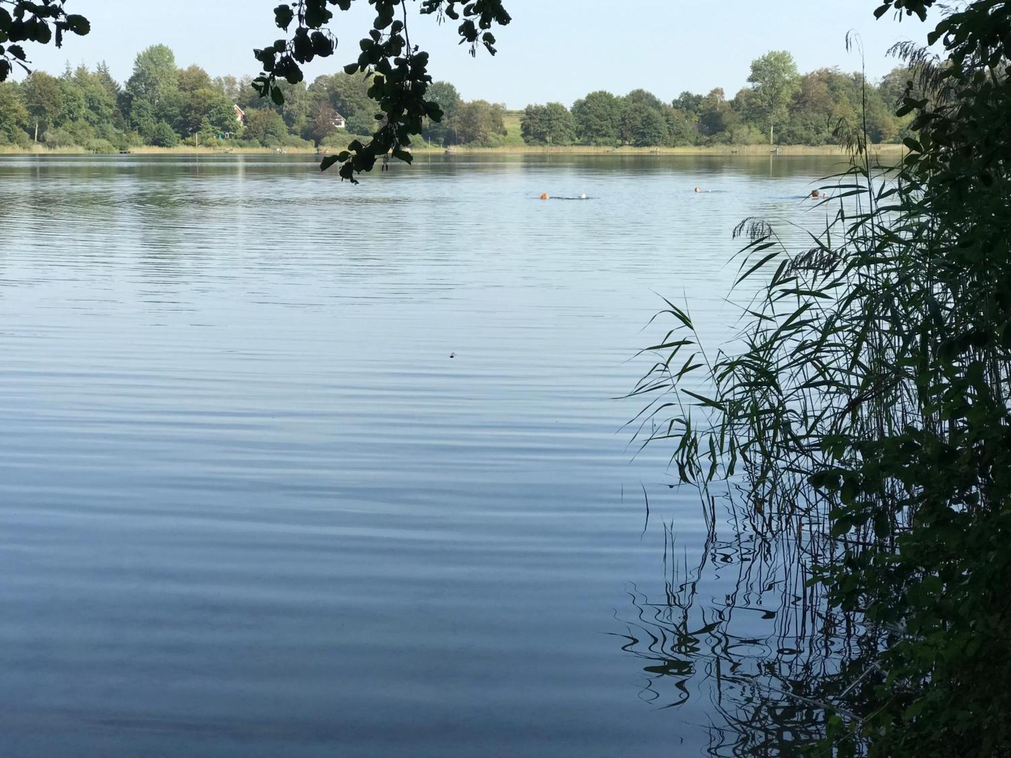 Ferienwohnung Fleckeby Schlei Fjord Light Ngoại thất bức ảnh